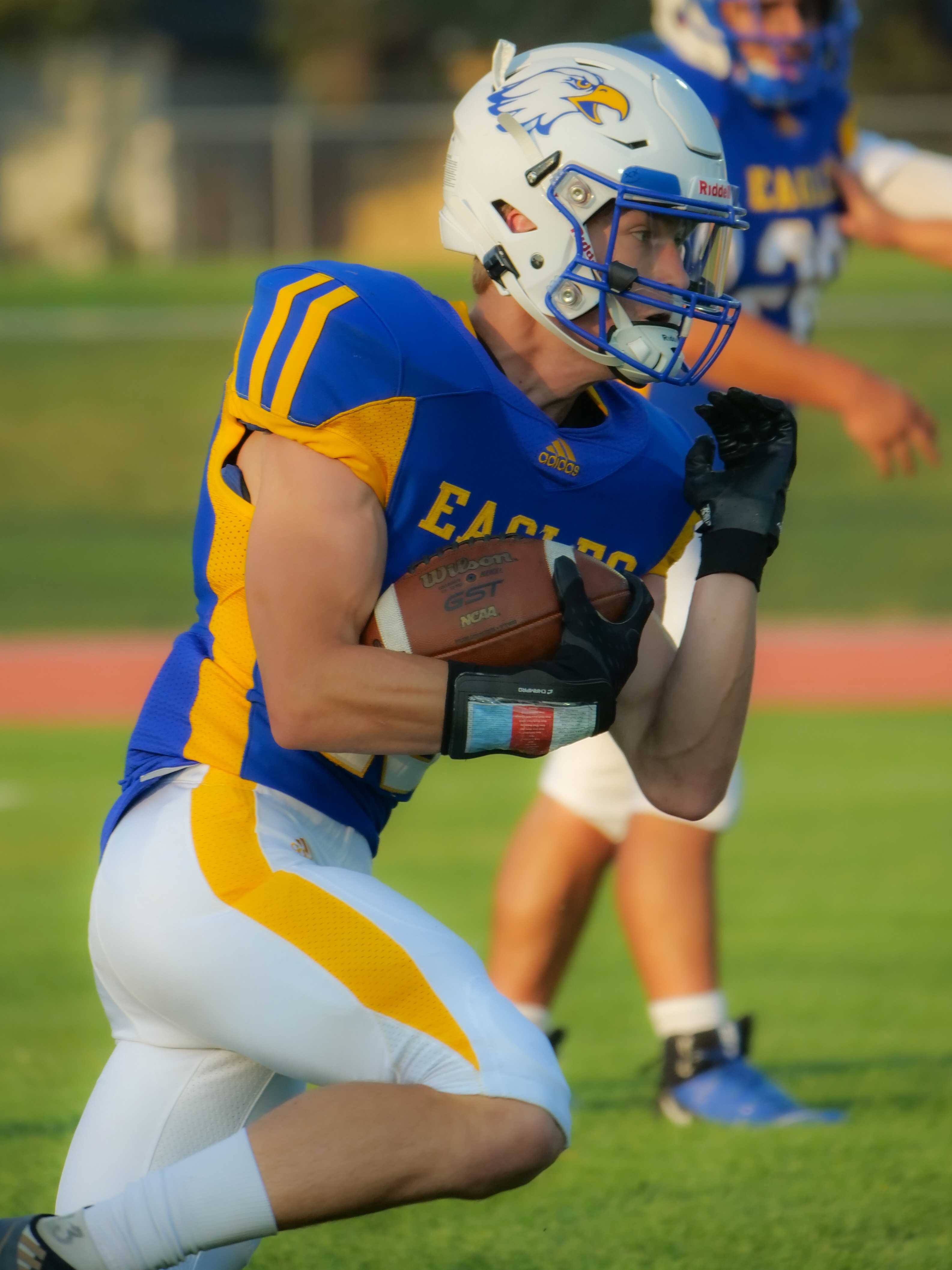 Eagle Point senior David Brown ran for 300 yards and scored 7 times, making the list in two categories (Julian Cordle)