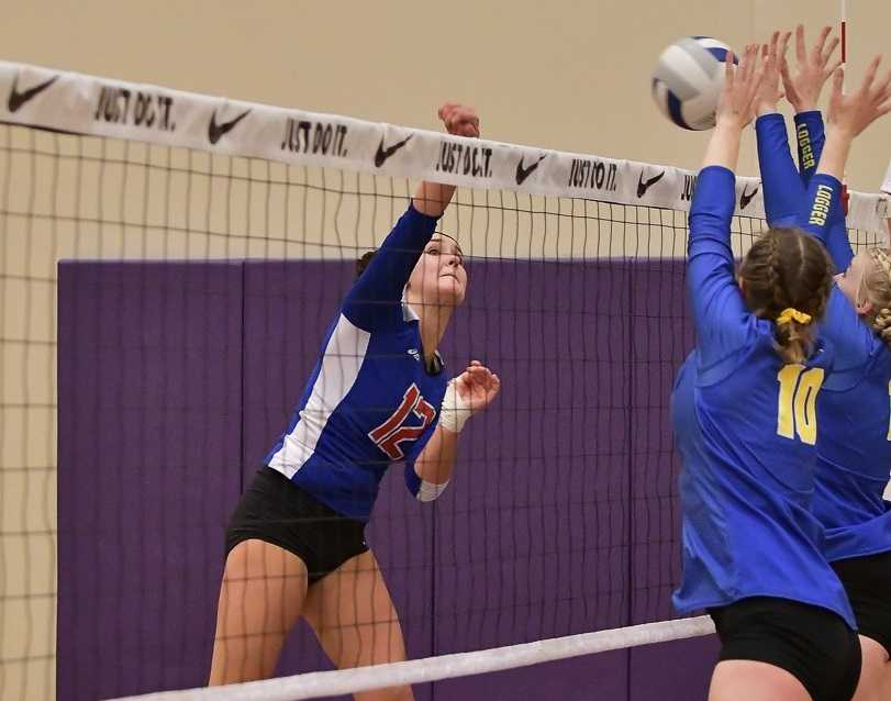 Central Linn's Sydney Northern hits against Vernonia in a 2A semifinal Friday. (Photo by Andre Panse)